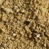 MUSHROOM SALT (CÈPES)