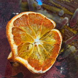 Garnitures Cocktail Signature PREMIUM ( Personnalisée)