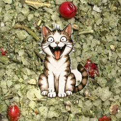 SEL FOU - Du Chat Messin
